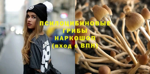 твердый Пролетарск